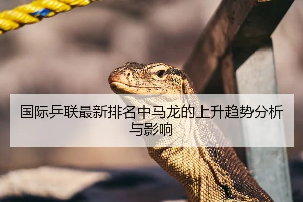 国际乒联最新排名中马龙的上升趋势分析与影响