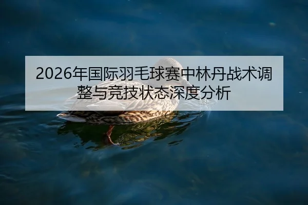 nian-guo-ji-yu-mao-qiu-sai-zhong-lin-dan-zhan-shu-tiao-zheng-yu-jing-ji-zhuang-tai-shen-du-fen-xi-2-170.jpg