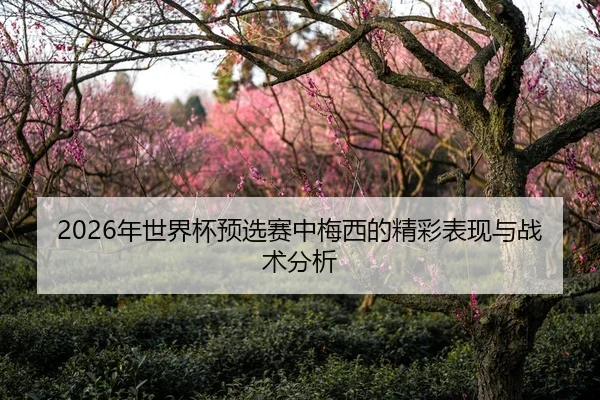 2026年世界杯预选赛中梅西的精彩表现与战术分析