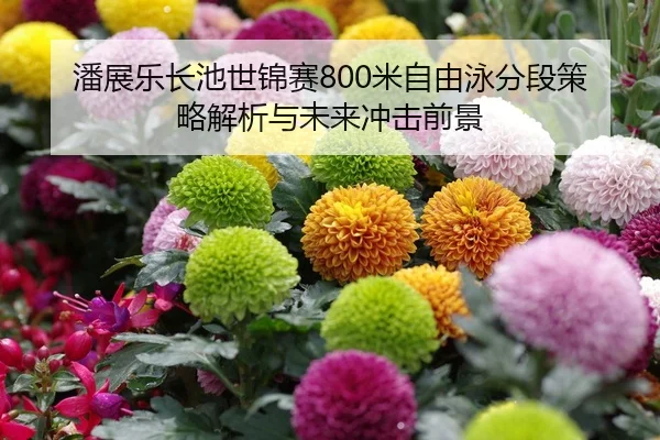 潘展乐长池世锦赛800米自由泳分段策略解析与未来冲击前景