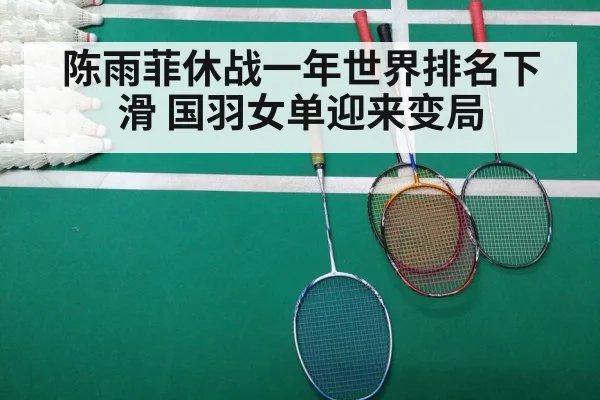 陈雨菲休战一年世界排名下滑 国羽女单迎来变局