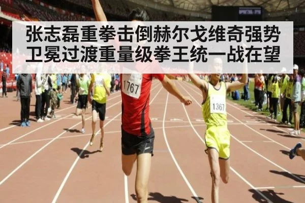 张志磊重拳击倒赫尔戈维奇强势卫冕过渡重量级拳王统一战在望